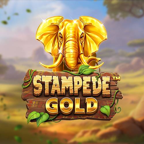 Stampede Gold